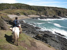 Argentina-Southern Patagonia-Mitre Peninsula Adventure